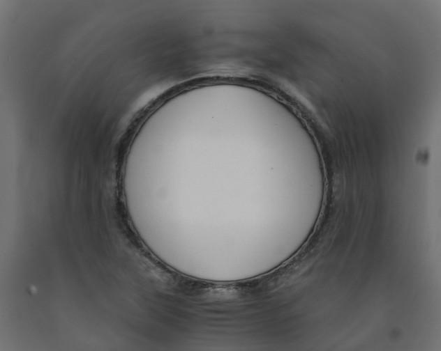 X0000091981315200710041102