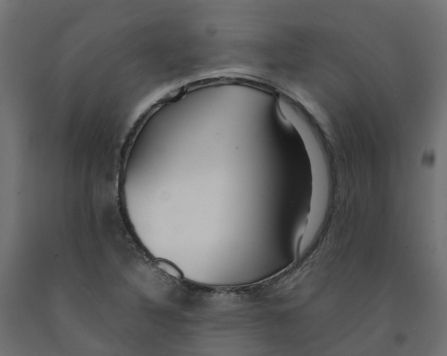 X0000091981316200710041102