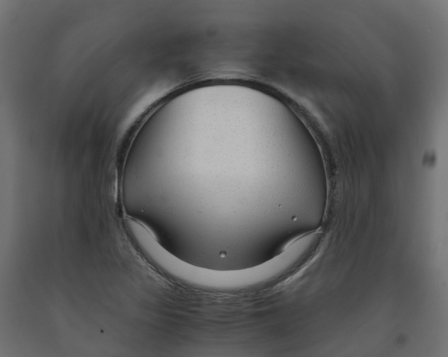 X0000091981317200710041102