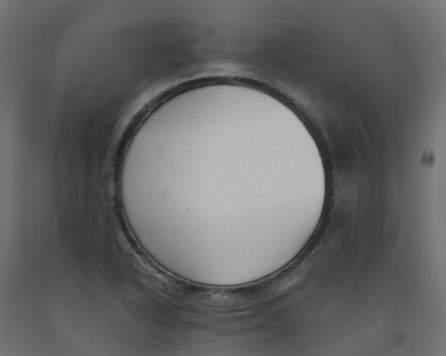 X0000091981318200710041102