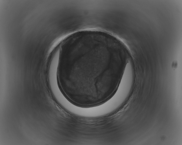 X0000091981319200710041102