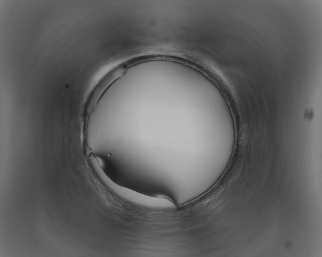 X0000091981320200710041102