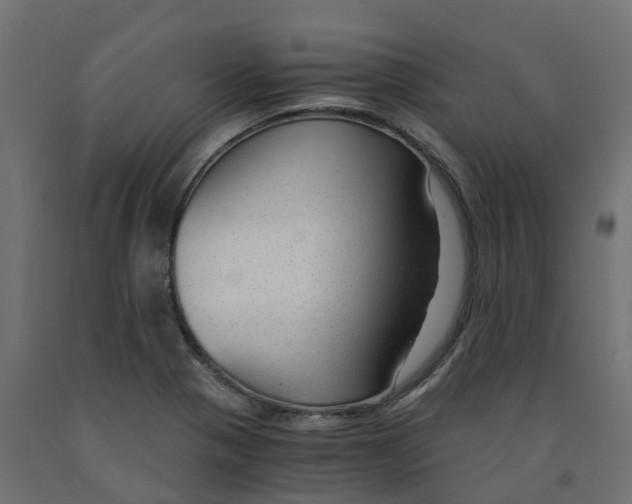X0000091981321200710041102