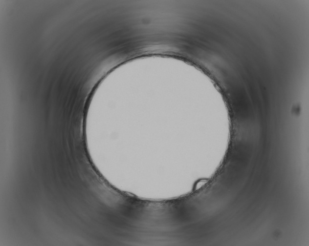 X0000091981322200710041102