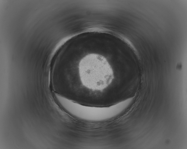X0000091981323200710041102