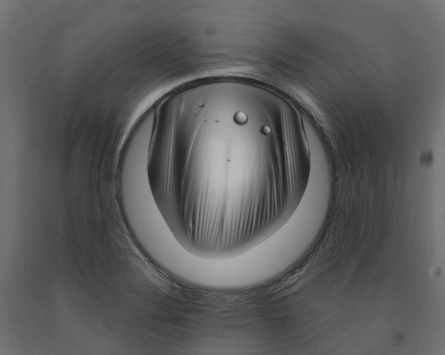 X0000091981324200710041102