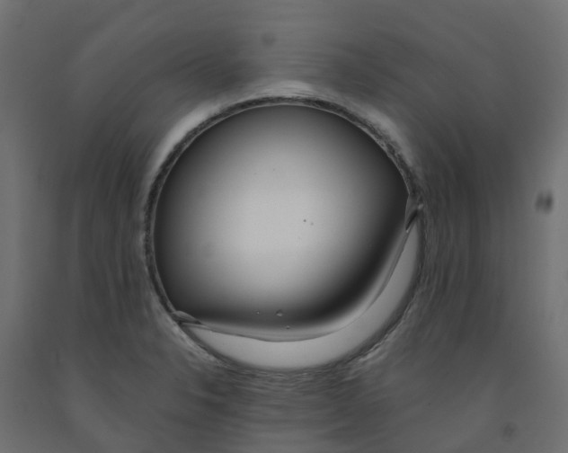 X0000091981326200710041102