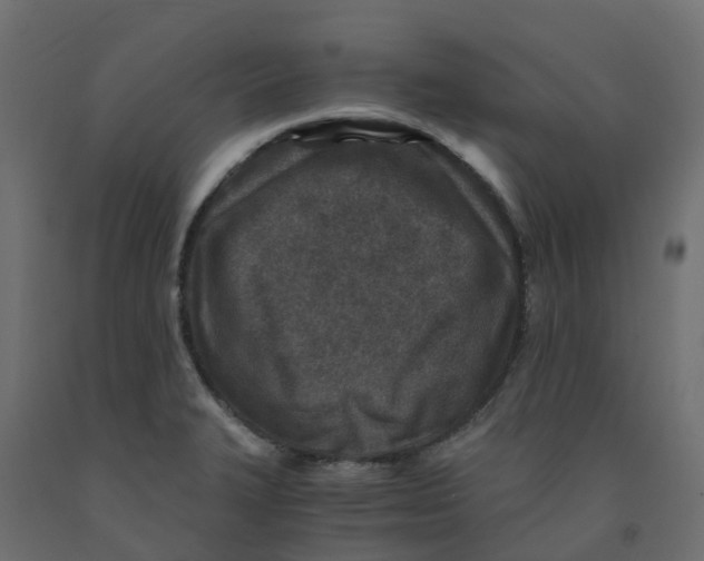 X0000091981327200710041102