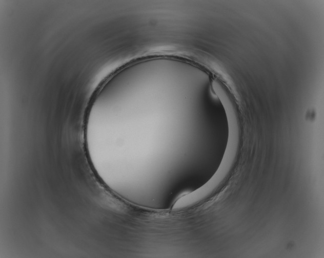 X0000091981328200710041102