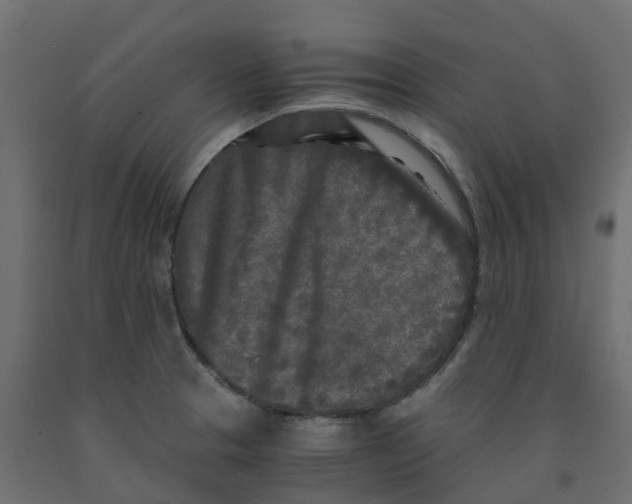 X0000091981329200710041102
