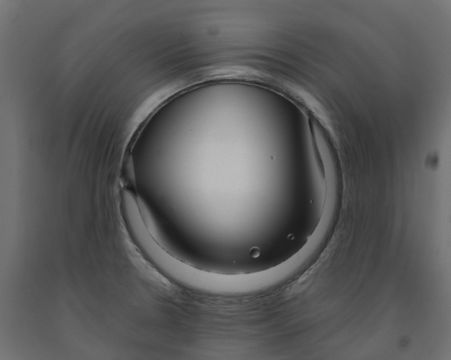 X0000091981330200710041102