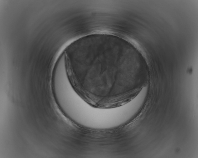 X0000091981331200710041102