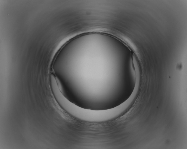 X0000091981332200710041102