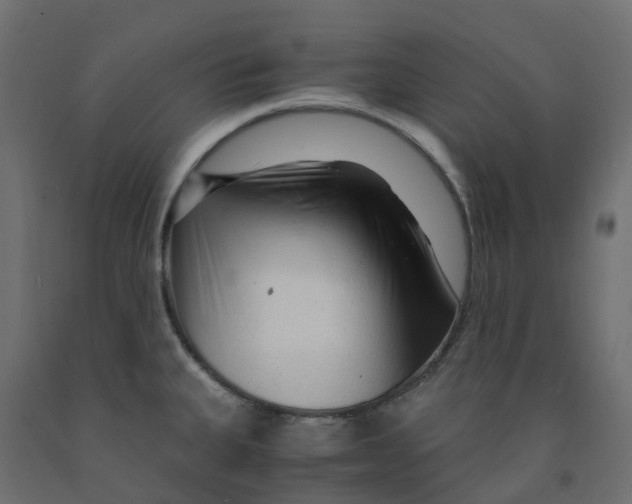 X0000091981335200710041102