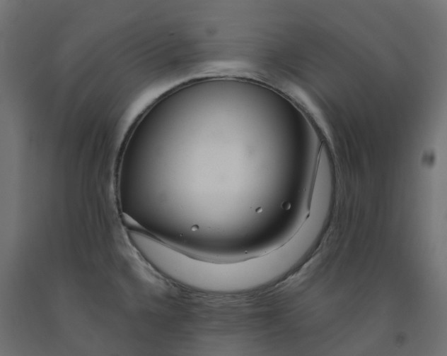 X0000091981336200710041102