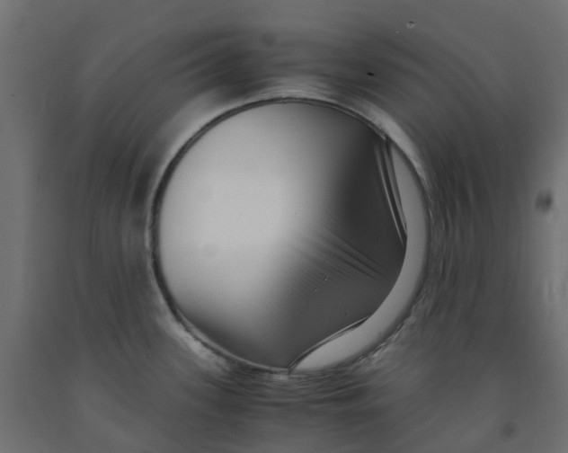X0000091981339200710041102