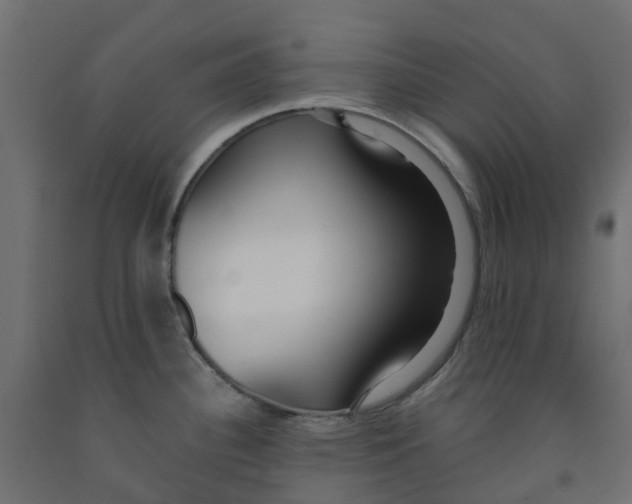 X0000091981340200710041102