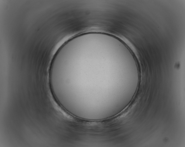 X0000091981341200710041102