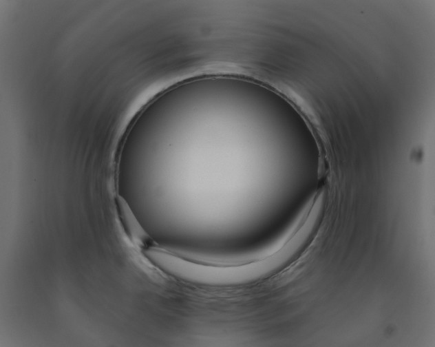 X0000091981342200710041102