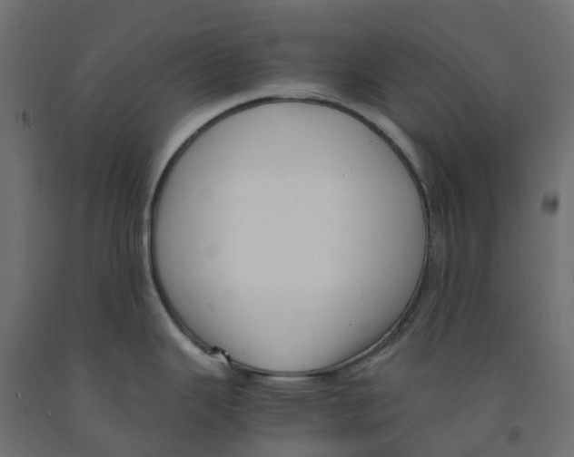 X0000091981343200710041102