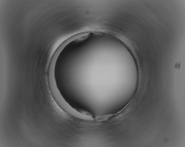 X0000091981344200710041102