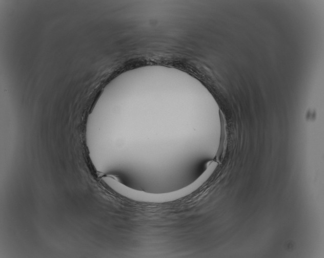 X0000091981345200710041101