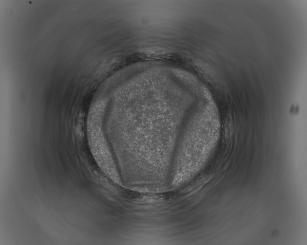 X0000091981346200710041101