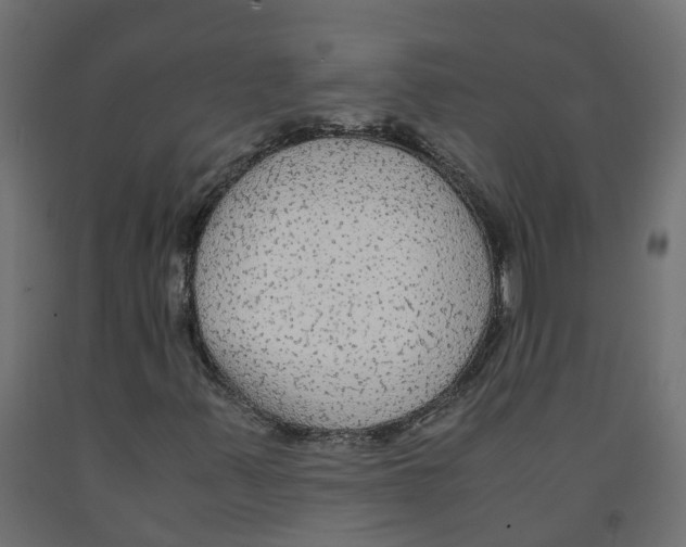 X0000091981347200710041101