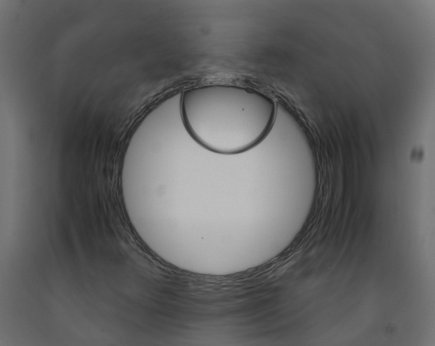 X0000091981348200710041101