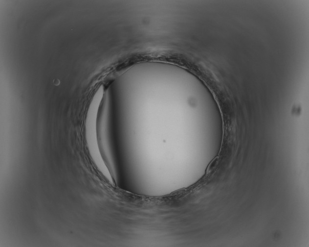 X0000091981349200710041101