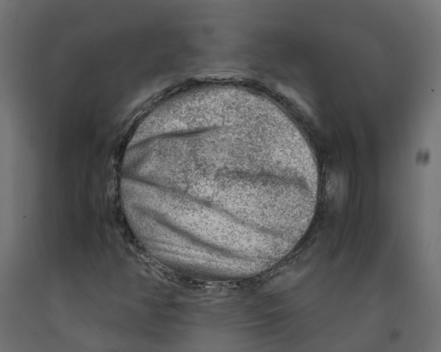 X0000091981350200710041101