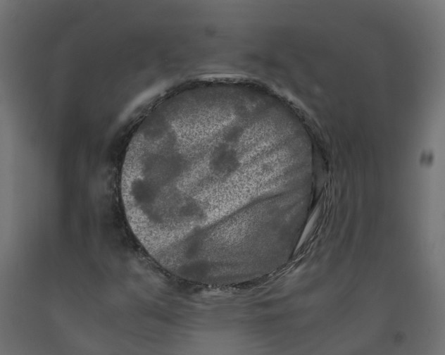 X0000091981351200710041101