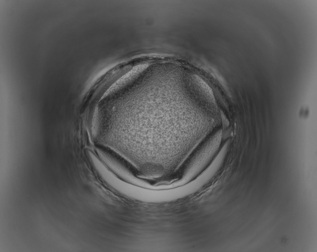 X0000091981352200710041101