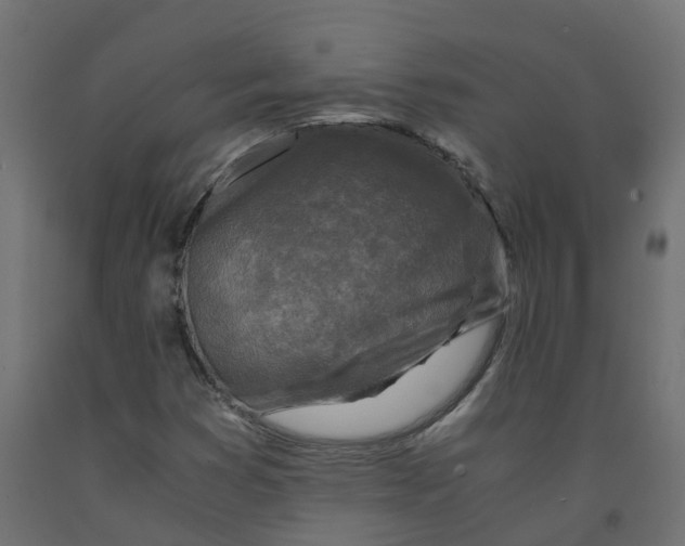 X0000091981353200710041101