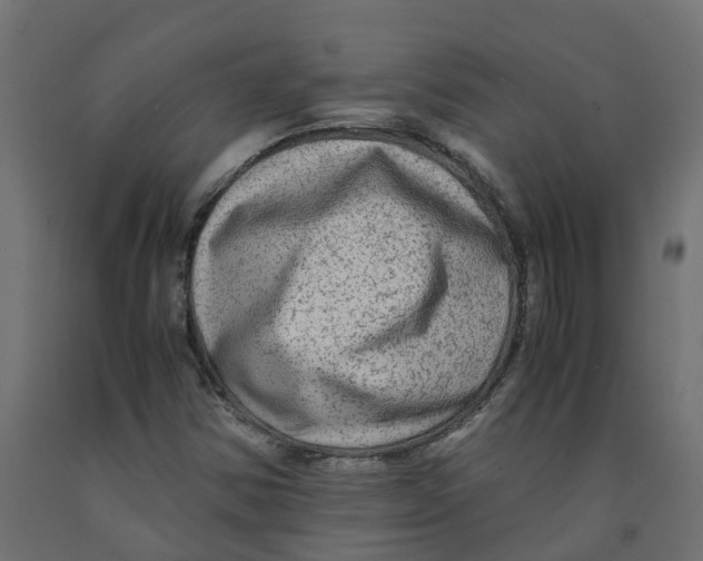 X0000091981354200710041101