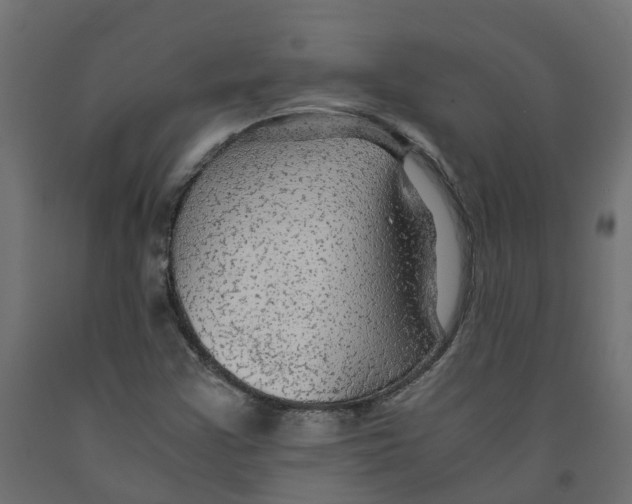 X0000091981355200710041101