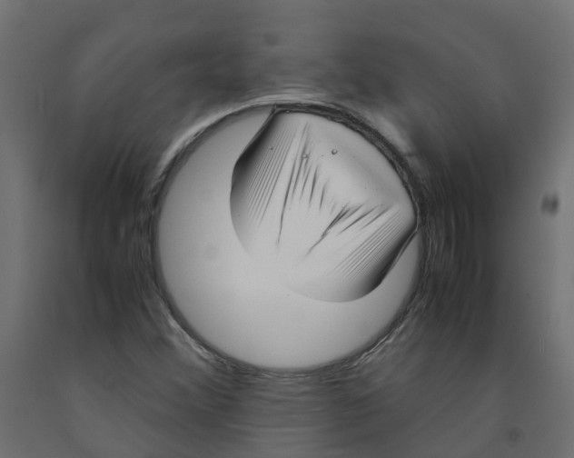 X0000091981356200710041101
