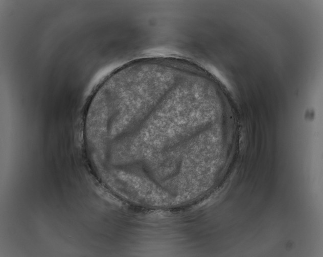 X0000091981358200710041101