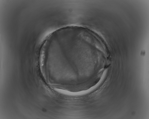 X0000091981359200710041101
