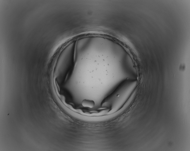 X0000091981360200710041101