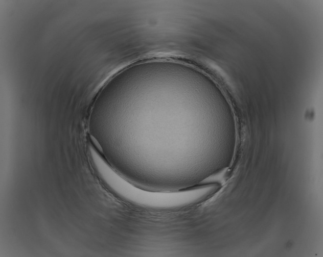 X0000091981361200710041101