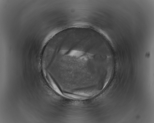 X0000091981362200710041101