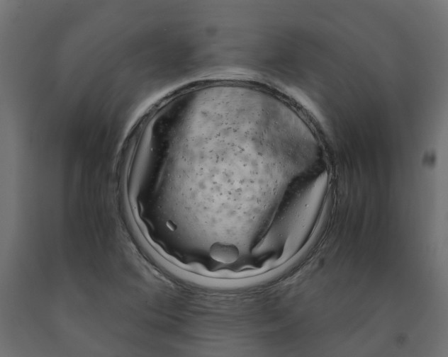 X0000091981364200710041101