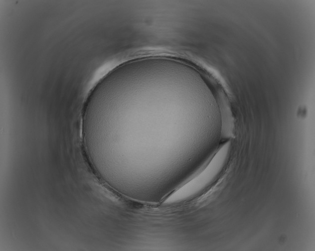 X0000091981365200710041101