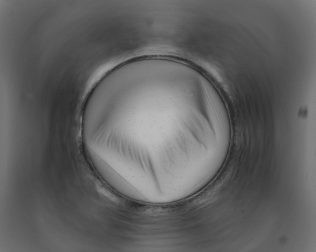 X0000091981366200710041101