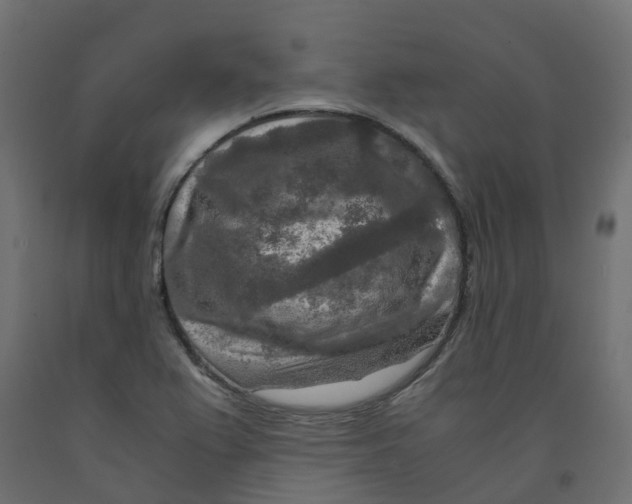 X0000091981367200710041101