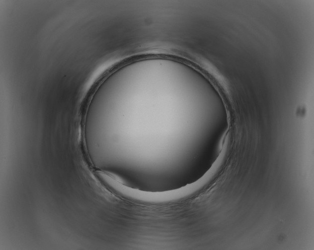 X0000091981368200710041101