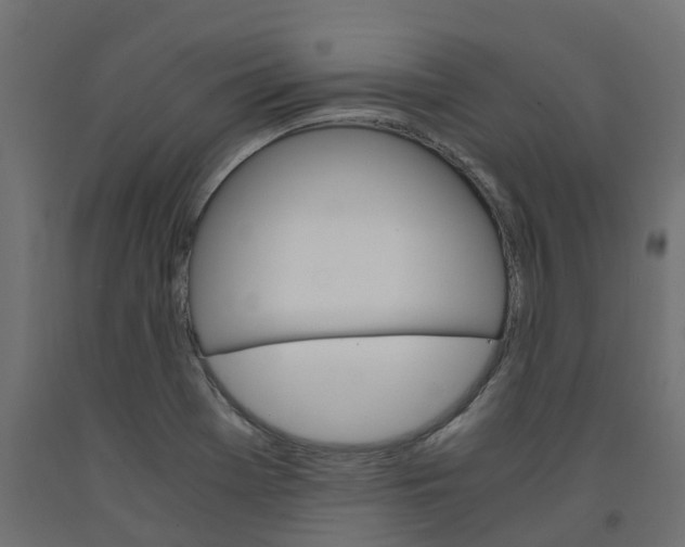 X0000091981369200710041101