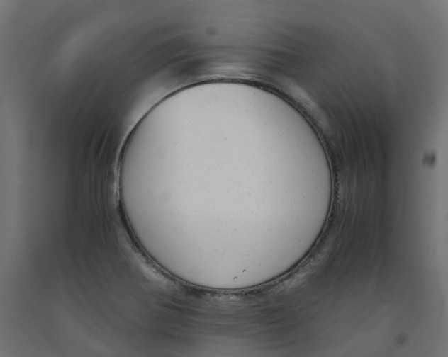 X0000091981370200710041101