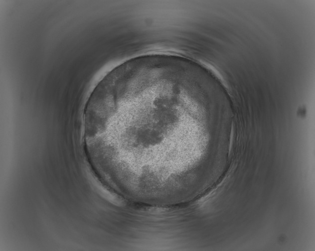 X0000091981371200710041101